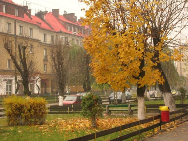 zdjecie Czeladź