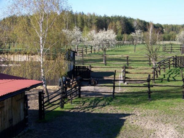 zdjecie Madaje Stare