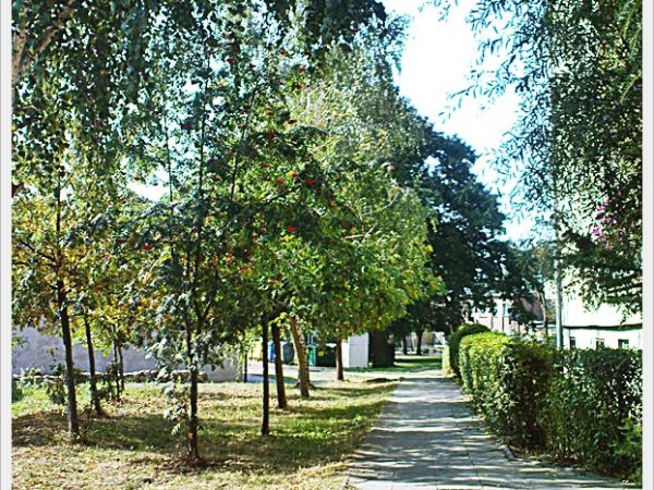 zdjecie Sulechów