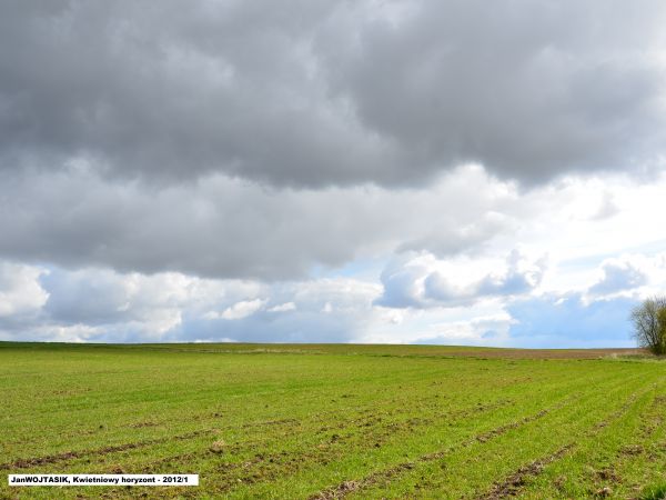 Okoliczne pola wczesną wiosną