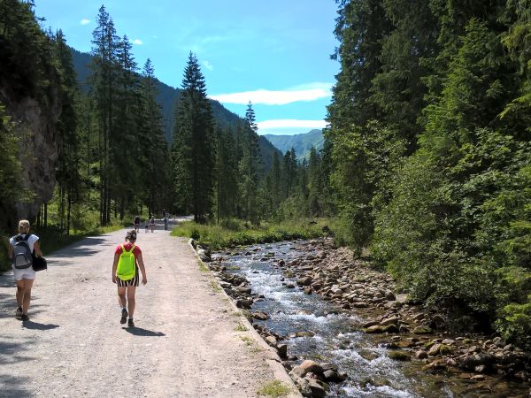 Spacer Doliną Chochołowską .