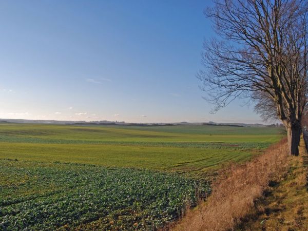 Widok od strony Poliks w kierunku Ramot. Po lewej waplewskie pola.