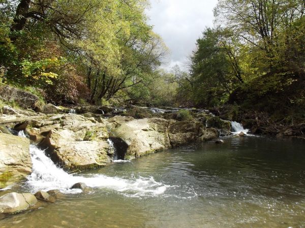 Pomnik przyrody: "Wodospad na rzece Olszance",  jest to najszerszy wodospad w tej części Polski ! Poniżej rumoszu skalnego są tzw. baniory - głębokie miejsca wy