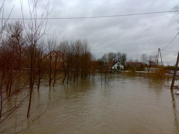 zdjecie Młynarska Wola