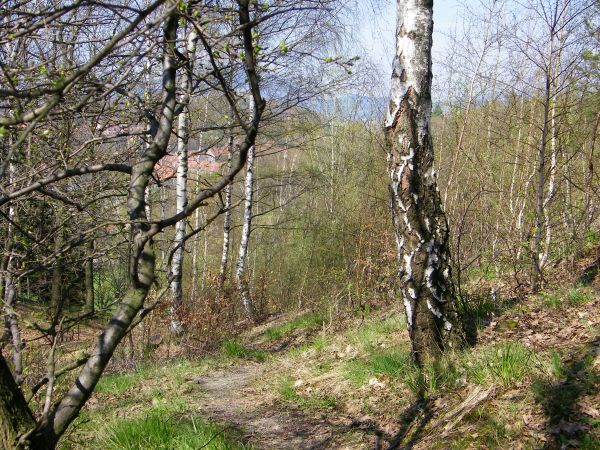 Wałbrzych