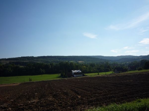 Jastrzębia. Widok na Las Groby.