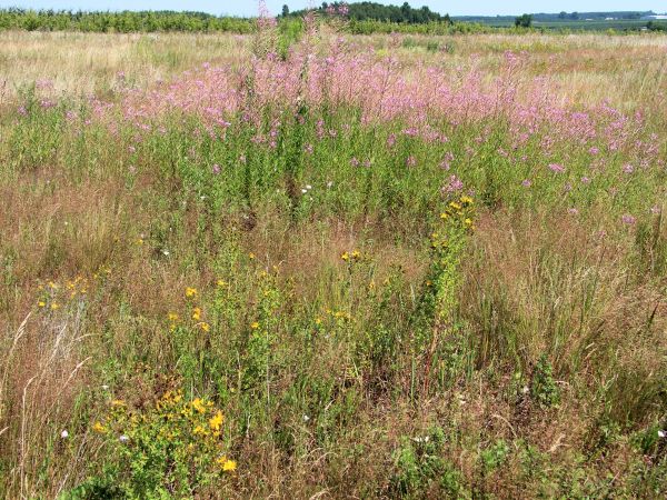 zdjecie Chrzczonowice