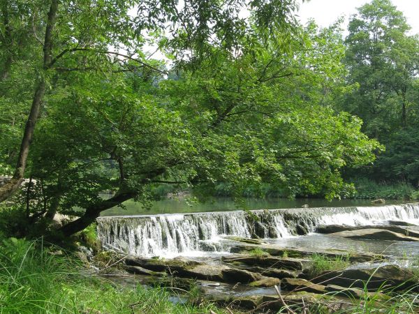 próg rzeczny na Wisłoku, co pozwala, by lody spływające w drobniejszą krę "obrócić się mogły", na brzegach nie zalegały, podtopień nie powodowały. Nurt wzbogaco