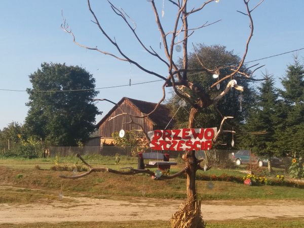 zdjecie Nowa Wieś Iławecka