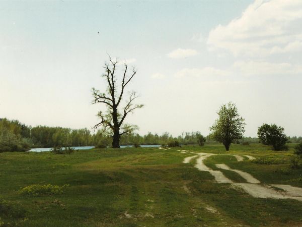 Urocze miejsce nad łachą. Dobre do przemyślań