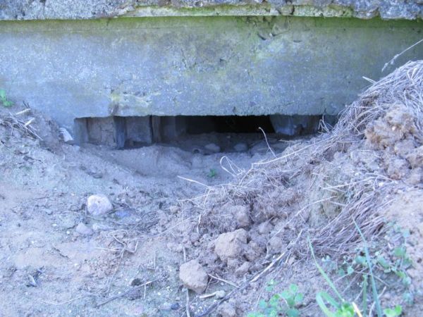 Zasypana wschodnia strzelnica Schronu nr 4. Armii "Poznań" z 1939r.