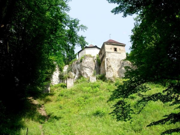 Zamek w Ojcowie, położony na terenie Ojcowskiego Parku Narodowego, w centrum Ojcowa, był zamkiem warownym wzniesionym przez Kazimierza Wielkiego w II połowie XI