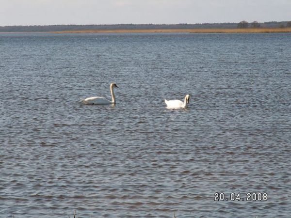 zdjecie Gardna Wielka