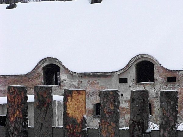 Fragment obory i płota