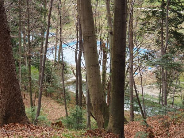 u podnóża Góry Przedziwna - 553m npm, w bliskości Alei Leśnej : zespół basenów kąpielowych, dalej przejście na kompleks skoczni narciarskich - wytyczał je znany