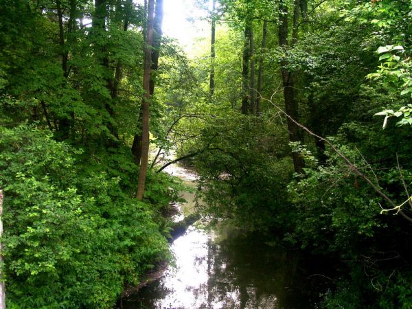 Urokliwe miejsca w Majdanie Sopockim