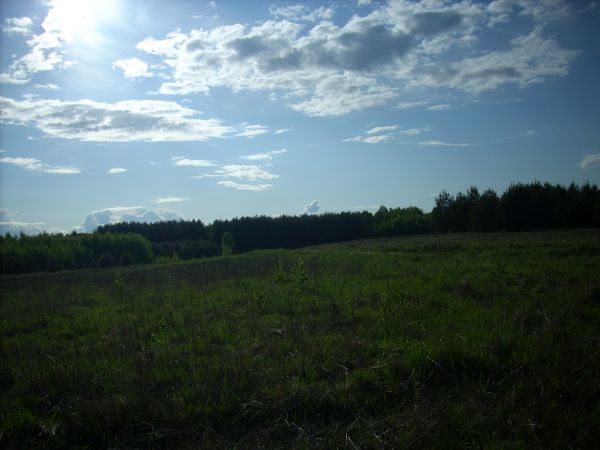 Na tym wzgórku można nawet dom pobudować...