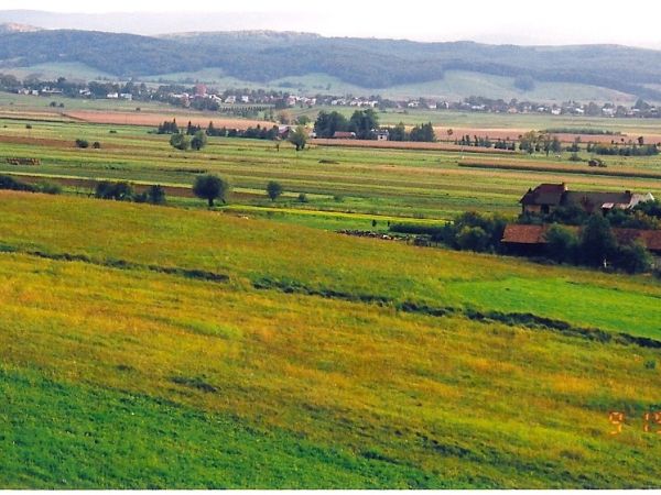 Fot. Szczepan Żyłka