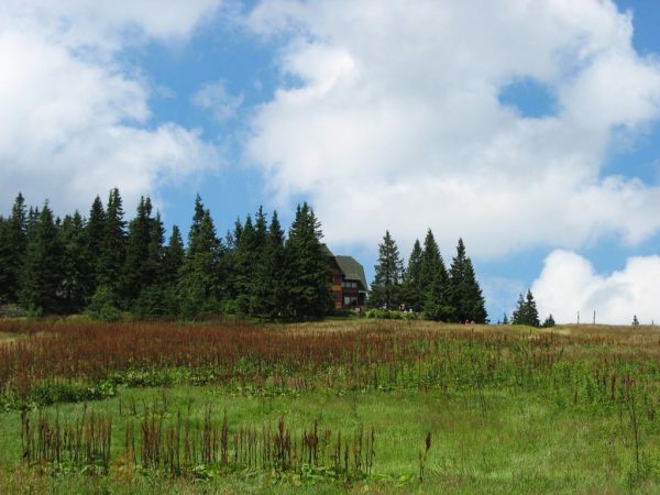 Hala Rysianka 1320 m n.p.m.