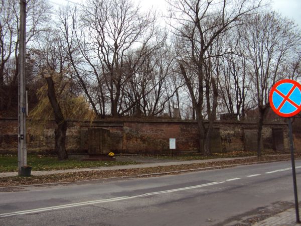 Widok na lubelski kirkut.