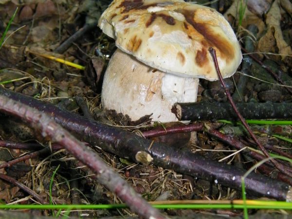 czasami może coś takiego się zdarzyć zostawiłem na gorsze czasy