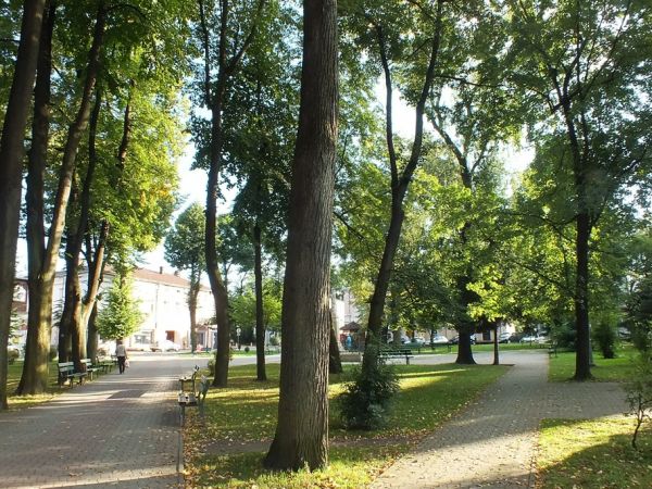 Zadrzewiony Plac Konstytucji 3 Maja to dawny Stary Rynek, wytyczony w XV w.