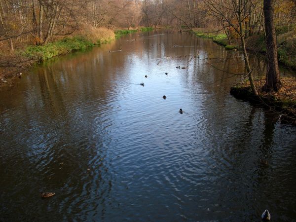 zdjecie Konstancin-Jeziorna