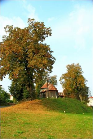 Cerkiew Pokrow Przeświętej Bogarodzicy w Miękiszu Starym. Zbudowana w latach 1803−1811. Wokół cerkwi groby rodziny Younga.