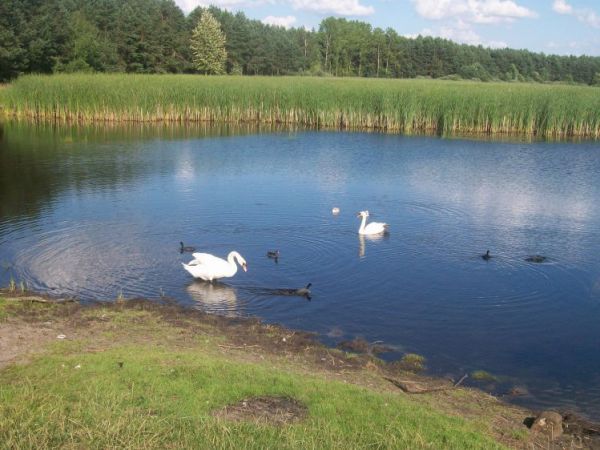 zdjecie Wólka Kątna