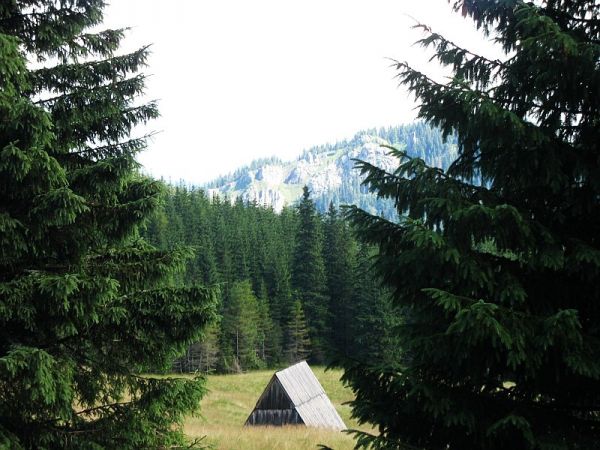 zdjecie Zakopane