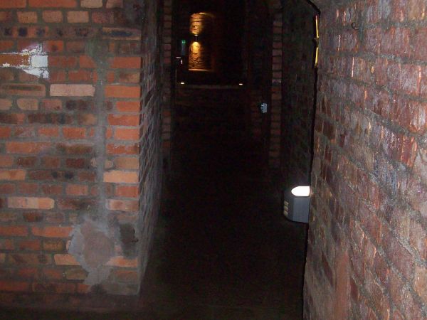 Podziemna Trasa Turystyczna liczy ok. 600 metrów długości i przebiega od ulicy Zawiszy Czarnego ku wyjściu przy Twierdzy w obrębie ulicy Grodzisko.