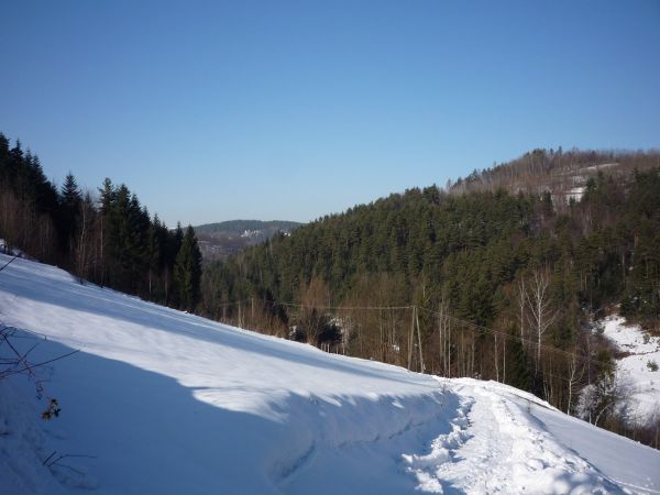 Harbutowice.Droga  do "Cisów Raciborskiego" Chodników.Po prawej Kijowa Góra,w głębi domy "U Pomnika"obok Przełęczy Sanguszki.