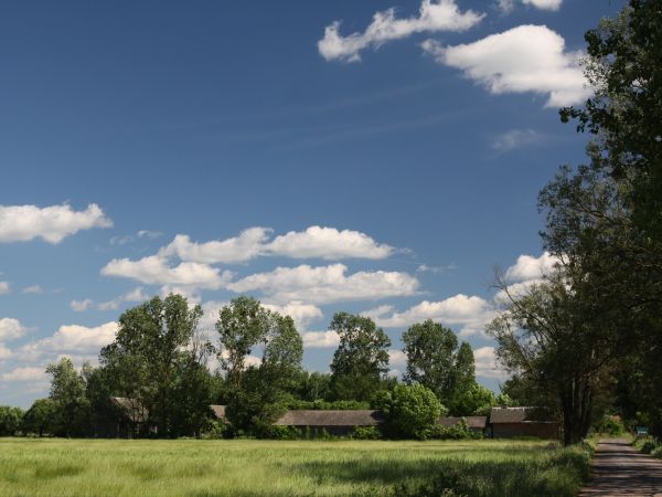 zdjecie Tyniewicze Duże