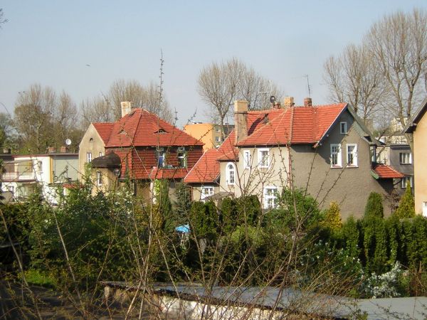 zdjecie Sulechów
