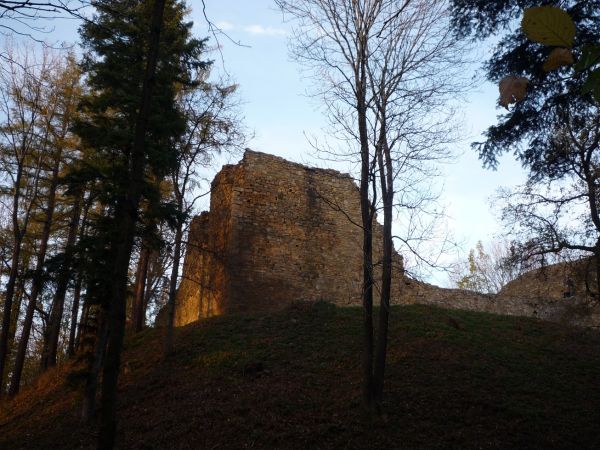 Ruiny zamku lanckorońskiego.
