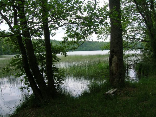 Widoki też mamy piękne
