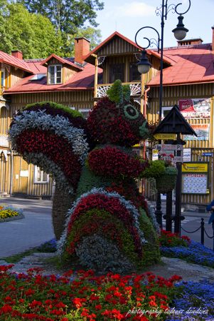 Wiewióreczka.