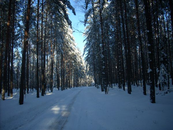 zdjecie Piłatowszczyzna