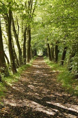 zdjecie Leśna Podlaska