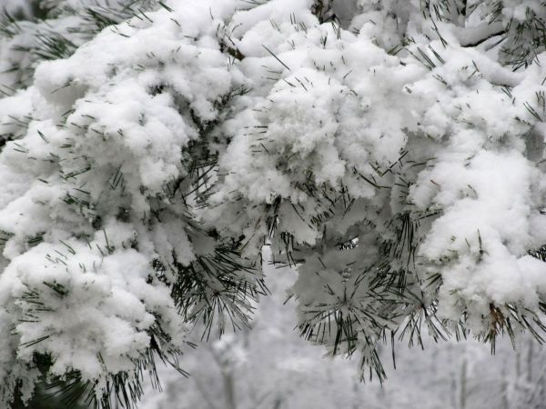 Zimowa sceneria terenu przy ulicy Mickiewicza, nad rzeką Wdą, oraz przy budynku Urzędu Miejskiego.