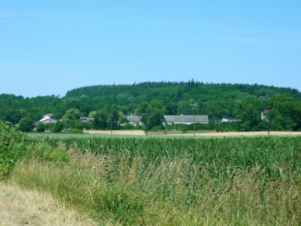 Chwaliszewo - fragment.