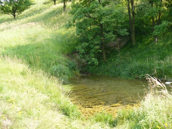 Żródełko w ,,Stoku,,....kiedyś było czyste i piękne!..pływały gęsi i kaczki.