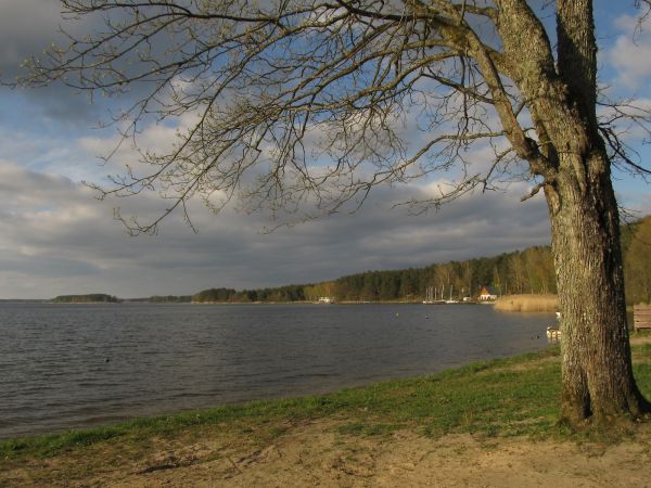 Idąc brzegiem jeziora Wdzydzkiego w Borsku - Jeziornie