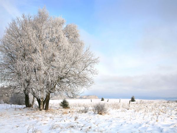 Zima w Pasterce w górach Stołowych. Malutka, malownicza wioska u samego podnóża Szczelińca Wielkiego jest unikalną już oazą ciszy i spokoju zadziwiając przy tym