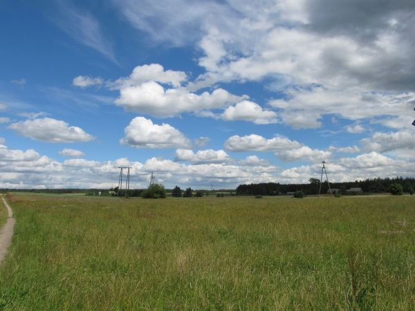 Pola między Lubikami a Hutą Kalną