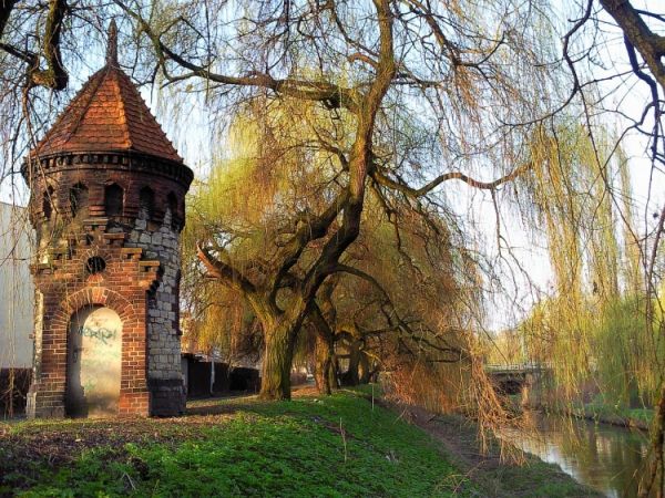 Park Sielec w Sosnowcu