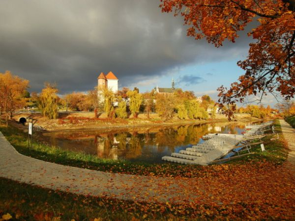 zdjecie Sandomierz