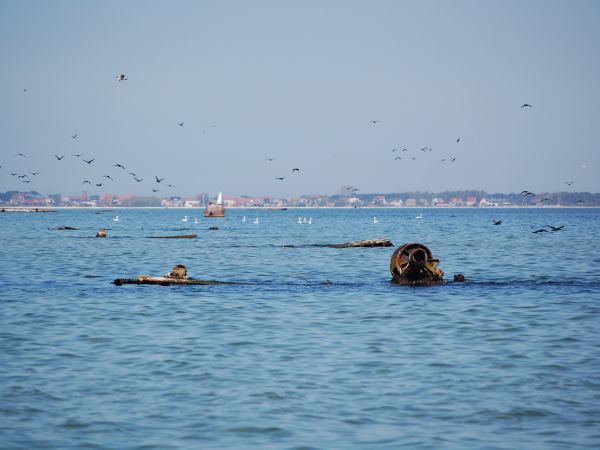 Dopłynęliśmy do Cmentarzyska Wraków, które znajduje się na środku zatoki, niedaleko mielizny zwanej Mewią Rewą, czyli między Rewą a Kuźnicą. Wycieczkę zorganizo