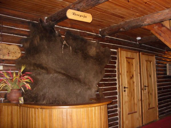 zdjecie Białowieża