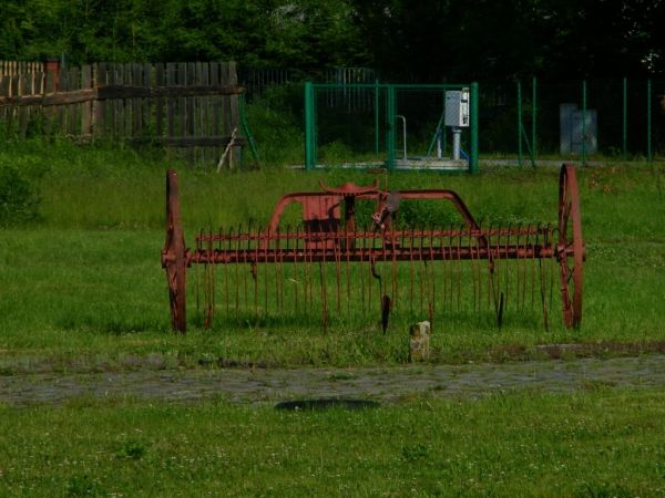 grabili i nic nie nagrabili